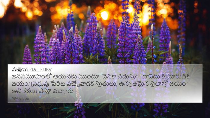 మత్తయి 21:9 TELIRV Bible Verse Image
