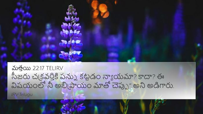 మత్తయి 22:17 TELIRV Bible Verse Image
