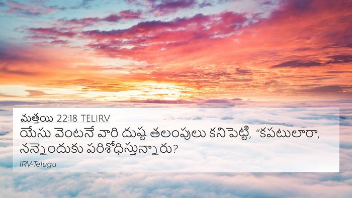 మత్తయి 22:18 TELIRV Bible Verse Image