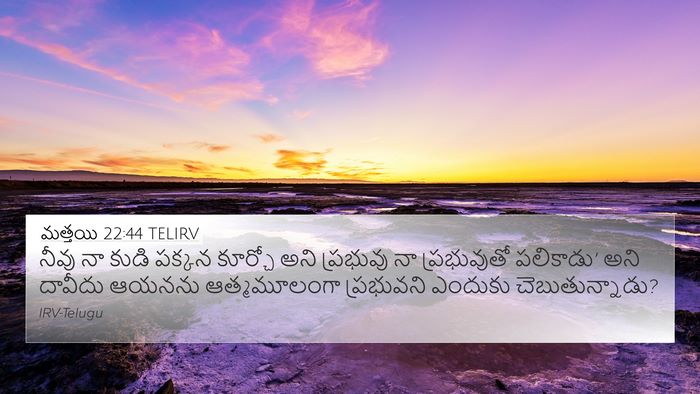 మత్తయి 22:44 TELIRV Bible Verse Image
