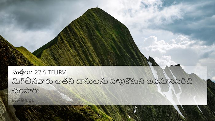 మత్తయి 22:6 TELIRV Bible Verse Image