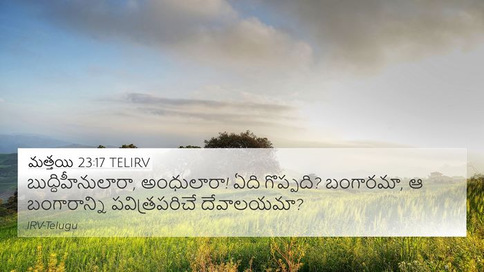 మత్తయి 23:17 TELIRV Bible Verse Image