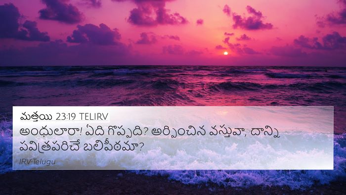 మత్తయి 23:19 TELIRV Bible Verse Image