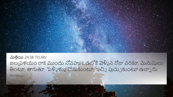 మత్తయి 24:38 TELIRV Bible Verse Image