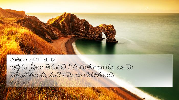 మత్తయి 24:41 TELIRV Bible Verse Image