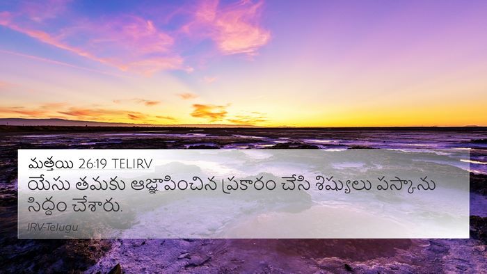మత్తయి 26:19 TELIRV Bible Verse Image