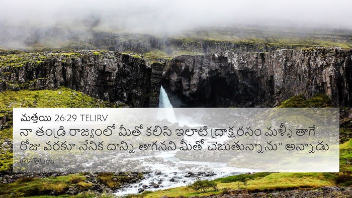 మత్తయి 26:29 TELIRV Bible Verse Image