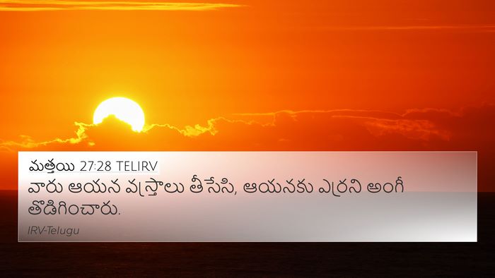 మత్తయి 27:28 TELIRV Bible Verse Image
