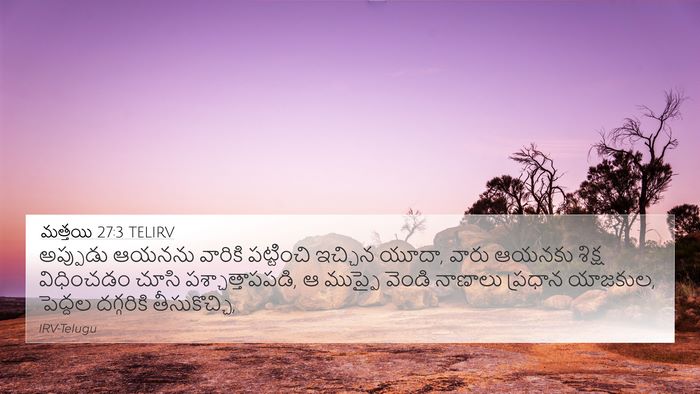మత్తయి 27:3 TELIRV Bible Verse Image