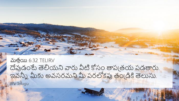 మత్తయి 6:32 TELIRV Bible Verse Image