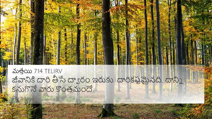 మత్తయి 7:14 TELIRV 4K Wallpaper - జీవానికి దారి - 4K Wallpaper Bible Verse