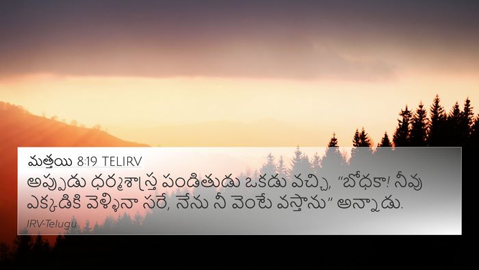 మత్తయి 8:19 TELIRV Bible Verse Image