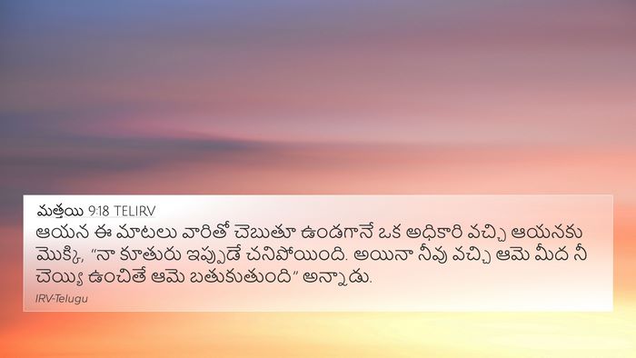 మత్తయి 9:18 TELIRV Bible Verse Image