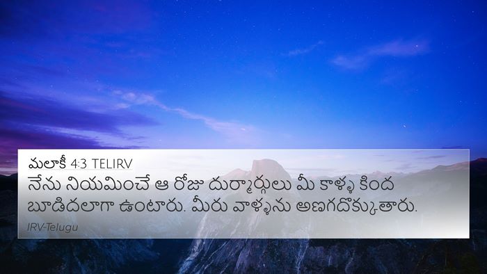 మలాకీ 4:3 TELIRV Bible Verse Image