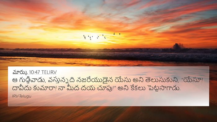 మార్కు 10:47 TELIRV Bible Verse Image