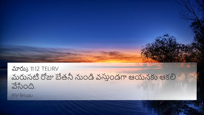 మార్కు 11:12 TELIRV Bible Verse Image