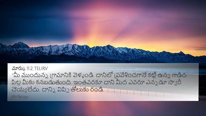 మార్కు 11:2 TELIRV Bible Verse Image