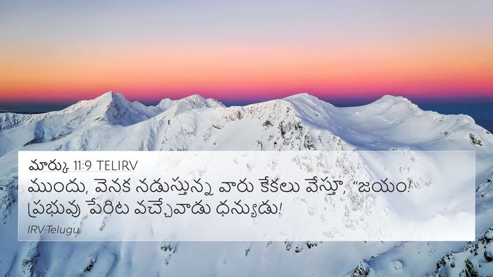 మార్కు 11:9 TELIRV Bible Verse Image
