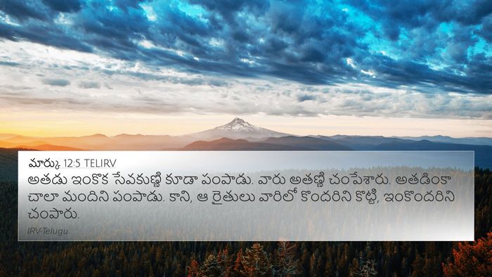 మార్కు 12:5 TELIRV Bible Verse Image