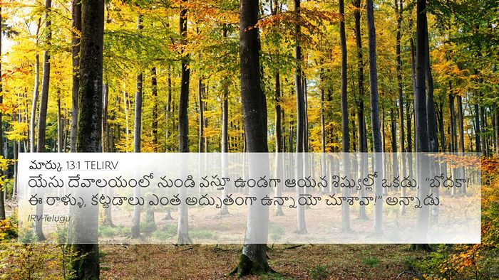 మార్కు 13:1 TELIRV Bible Verse Image