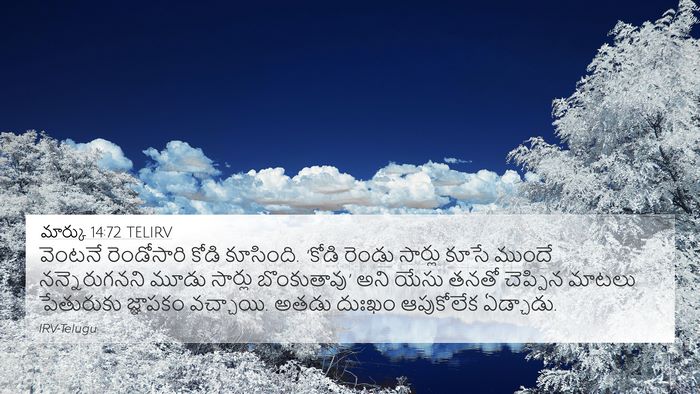 మార్కు 14:72 TELIRV Bible Verse Image