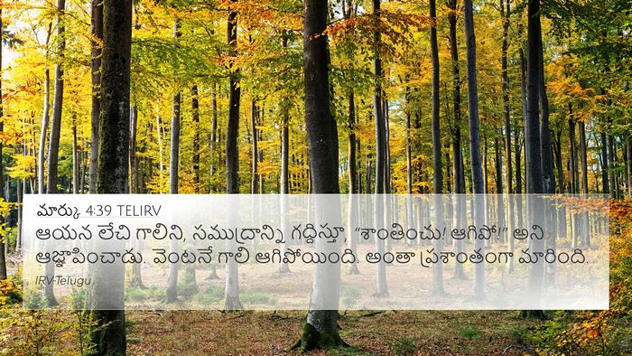 మార్కు 4:39 TELIRV Bible Verse Image