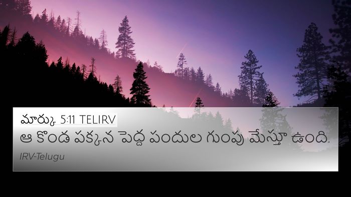 మార్కు 5:11 TELIRV Bible Verse Image