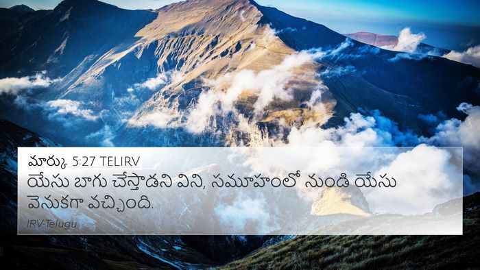 మార్కు 5:27 TELIRV Bible Verse Image