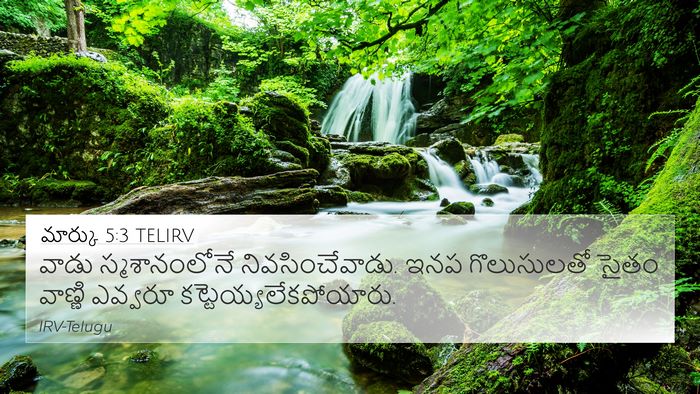 మార్కు 5:3 TELIRV 4K Wallpaper - వాడు స్మశానంలోనే - 4K Wallpaper Bible Verse