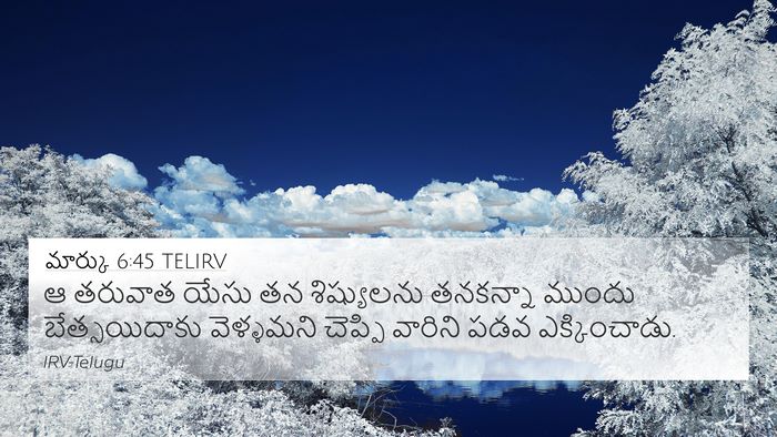 మార్కు 6:45 TELIRV Bible Verse Image