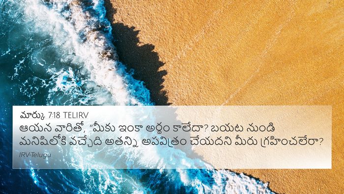 మార్కు 7:18 TELIRV Bible Verse Image