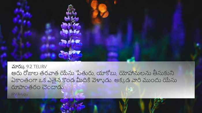 మార్కు 9:2 TELIRV Bible Verse Image
