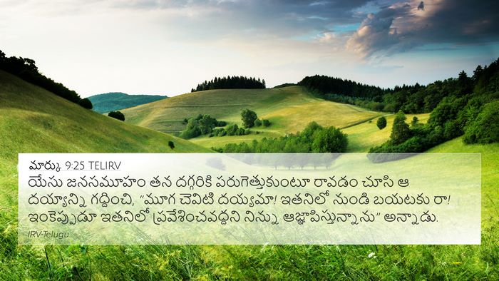 మార్కు 9:25 TELIRV Bible Verse Image