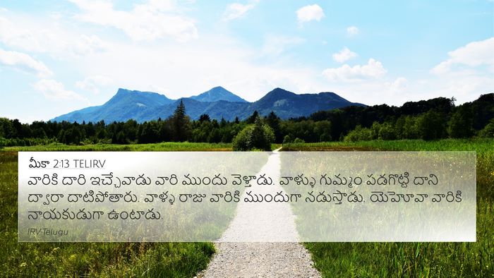 మీకా 2:13 TELIRV Bible Verse Image