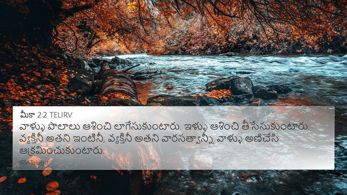 మీకా 2:2 TELIRV 4K Wallpaper - వాళ్ళు పొలాలు - 4K Wallpaper Bible Verse