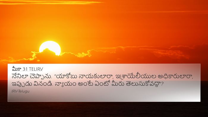 మీకా 3:1 TELIRV Bible Verse Image