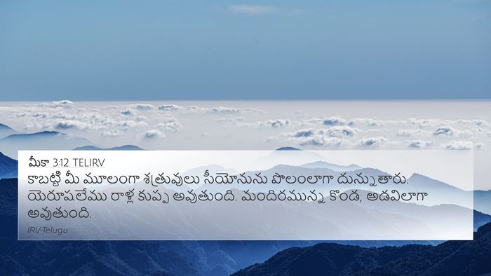 మీకా 3:12 TELIRV Bible Verse Image