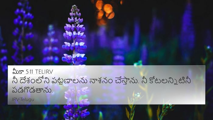 మీకా 5:11 TELIRV Bible Verse Image