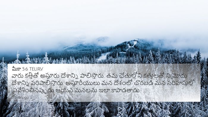 మీకా 5:6 TELIRV Bible Verse Image