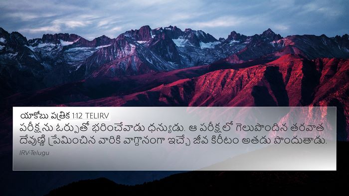 యాకోబు పత్రిక 1:12 TELIRV Bible Verse Image