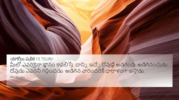 యాకోబు పత్రిక 1:5 TELIRV Bible Verse Image