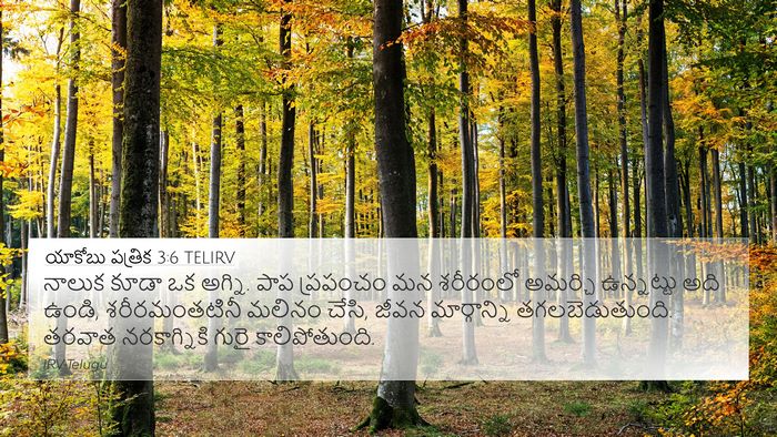 యాకోబు పత్రిక 3:6 TELIRV Bible Verse Image