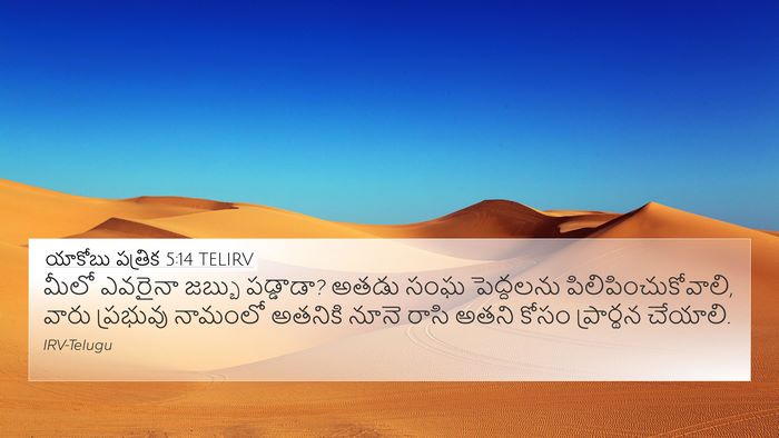 యాకోబు పత్రిక 5:14 TELIRV Bible Verse Image