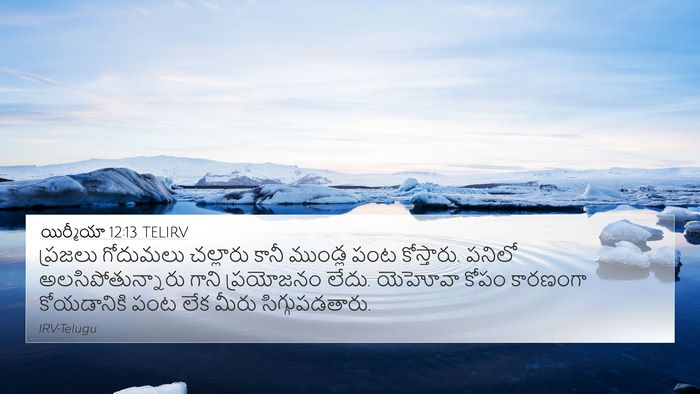 యిర్మీయా 12:13 TELIRV Bible Verse Image