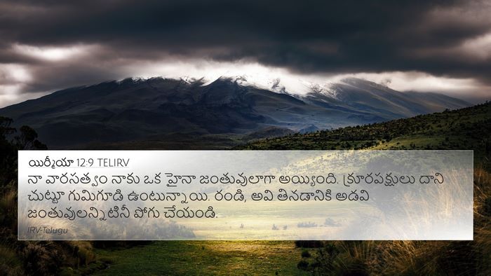 యిర్మీయా 12:9 TELIRV Bible Verse Image