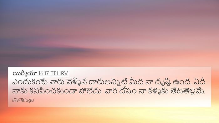 యిర్మీయా 16:17 TELIRV Bible Verse Image