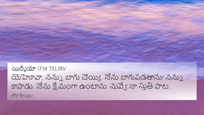 యిర్మీయా 17:14 TELIRV Bible Verse Image
