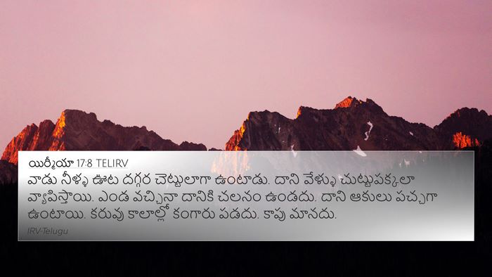 యిర్మీయా 17:8 TELIRV Bible Verse Image