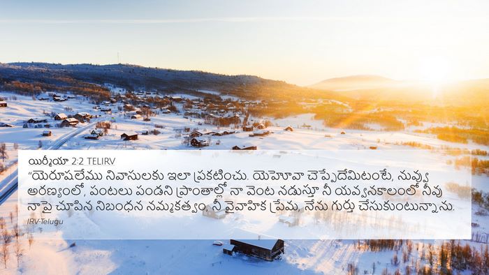 యిర్మీయా 2:2 TELIRV Bible Verse Image
