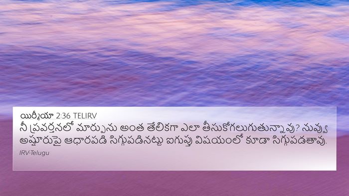 యిర్మీయా 2:36 TELIRV Bible Verse Image